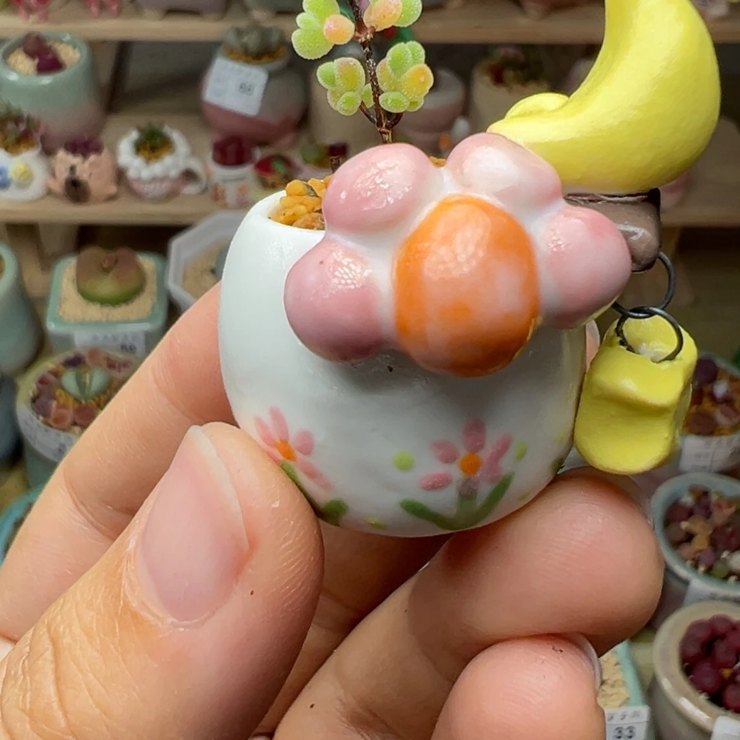 多肉植物75号拇指盆