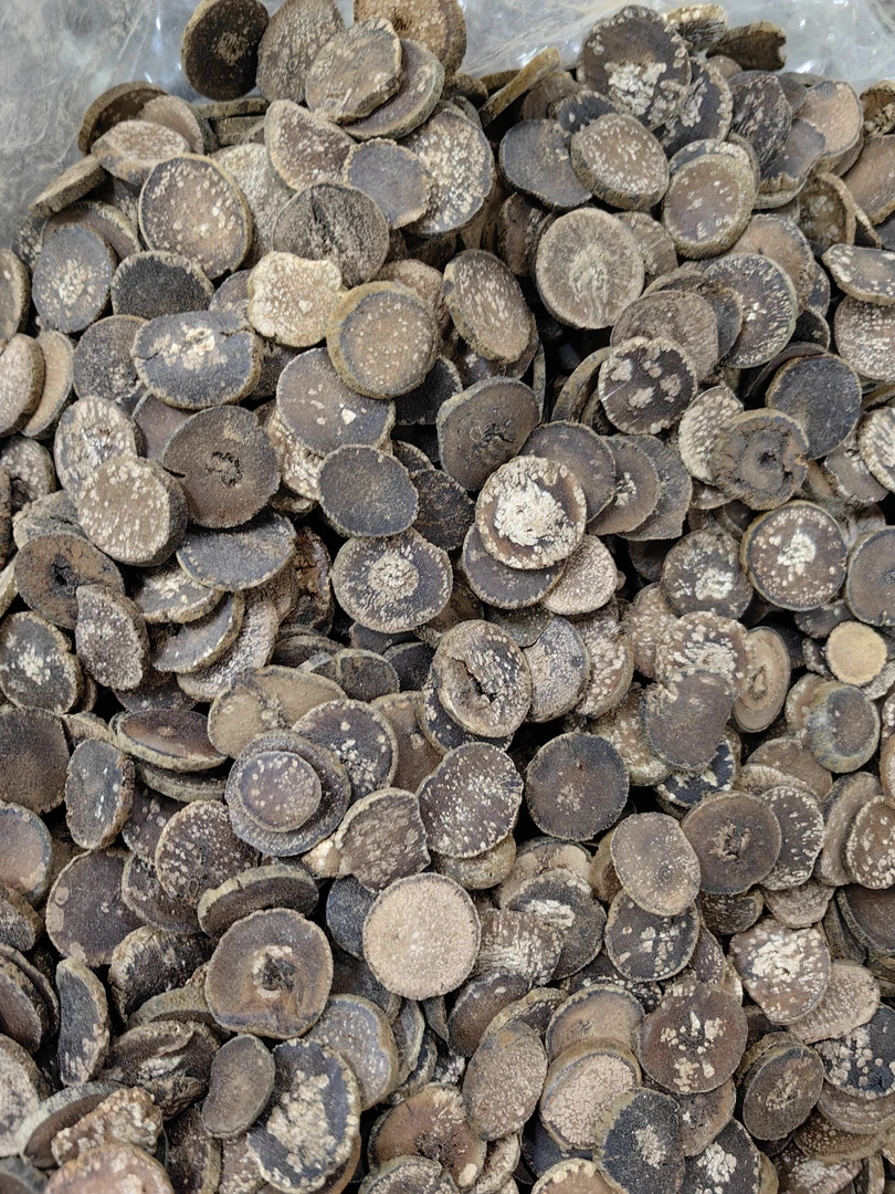 化州橘红 2018年小胎果满天星雪花片