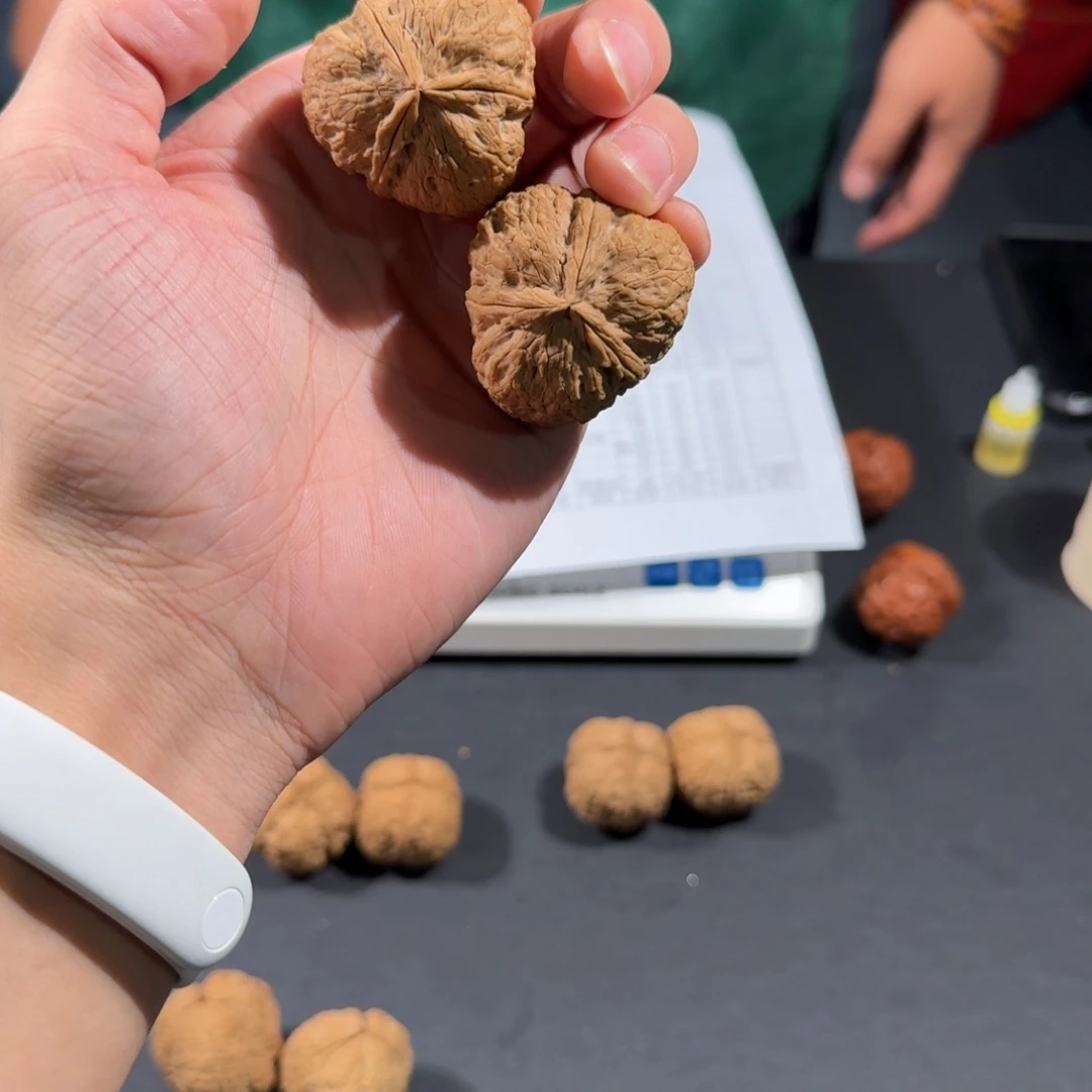 文玩核桃把件75号元宝三棱