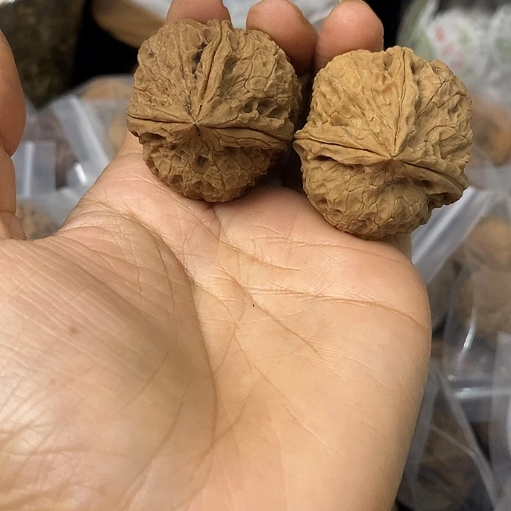 核桃云南铁核桃基地73