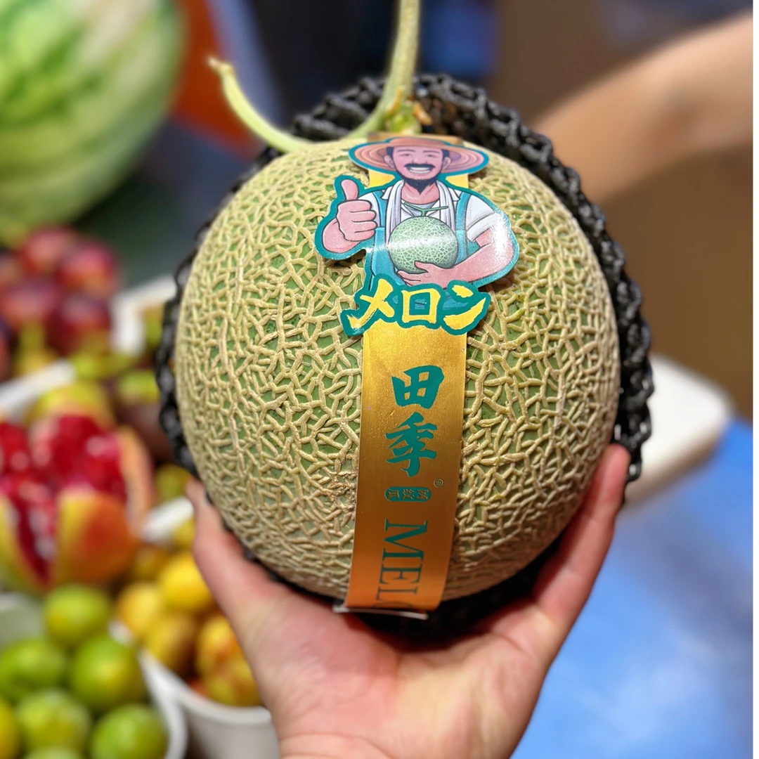 果切精品网纹瓜 28元/个