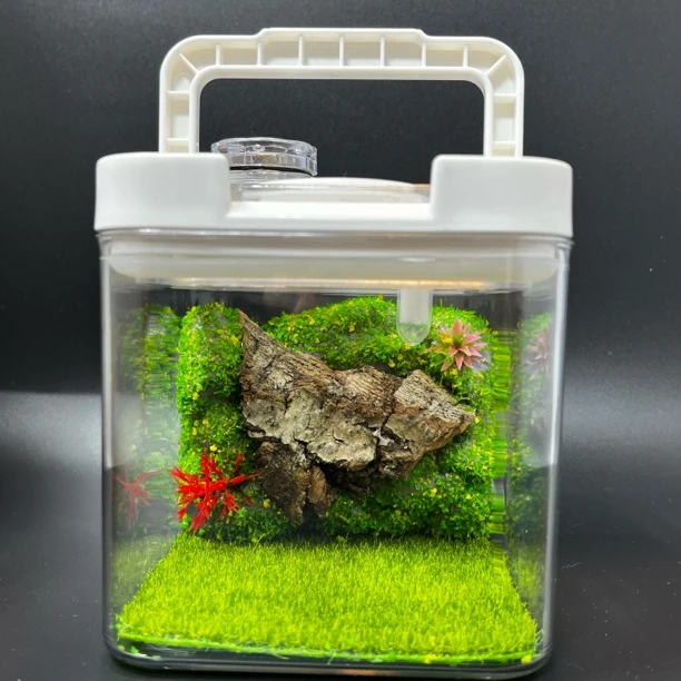 鸣虫螽斯饲养观景盒亚克力设计仿真造景饲养生态盒带提篮灯加湿棉