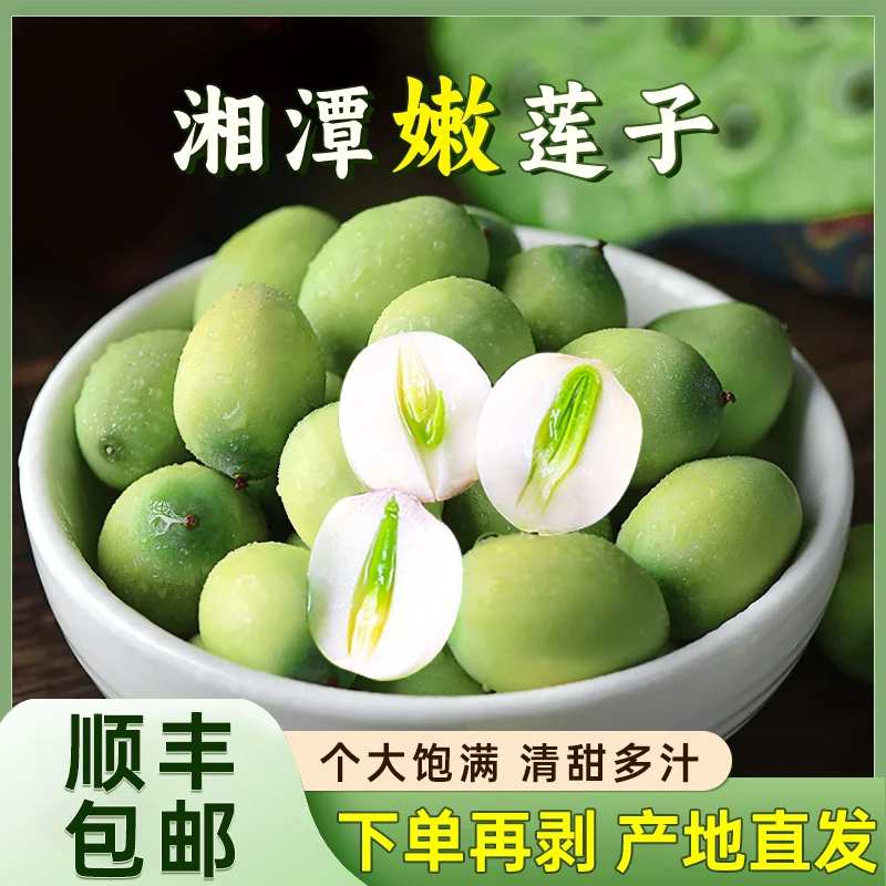 湖南湘潭嫩莲子米现采现发新鲜莲蓬现剥嫩莲子生吃水果莲子