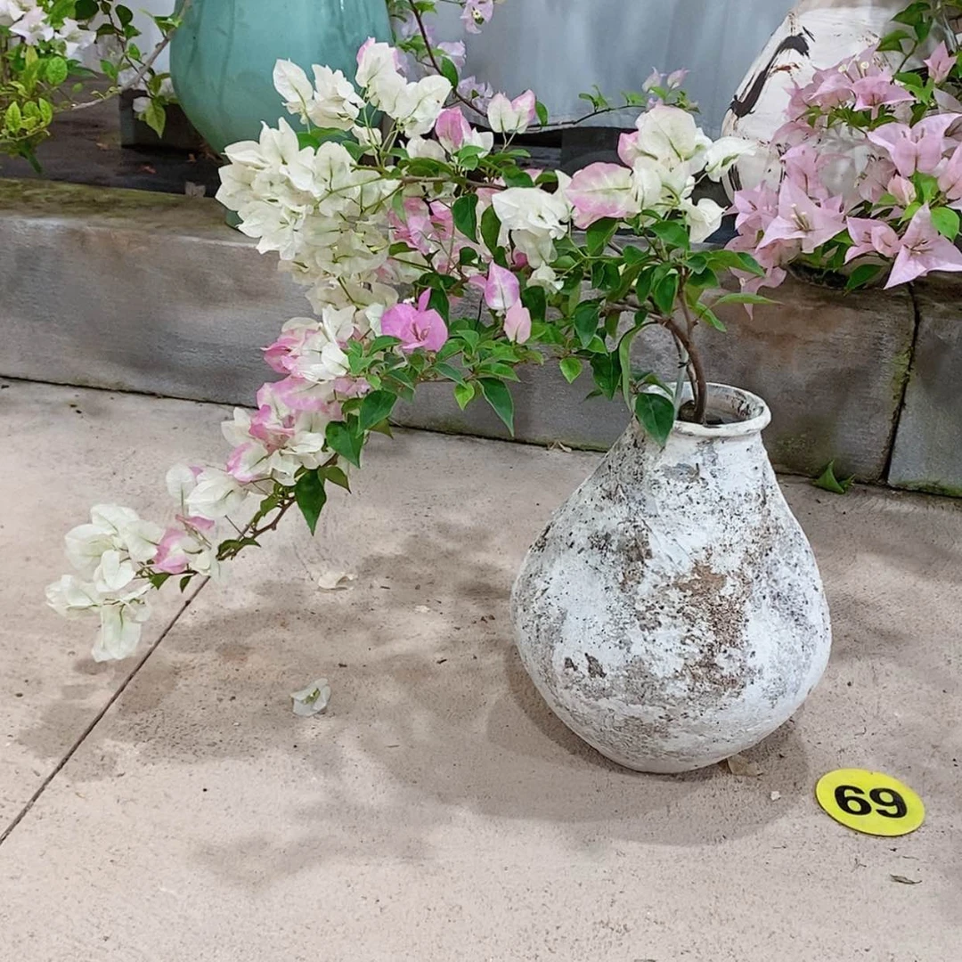 【闪购商品】完全开放小**¹椰子冰