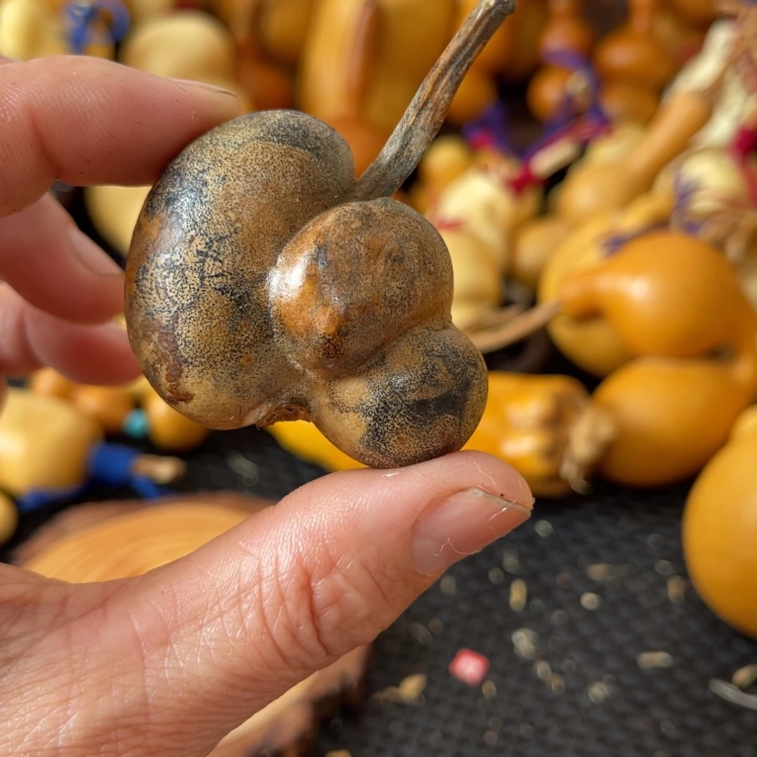 知***乐葫芦葫哈哈哈哈哈哈哈哈