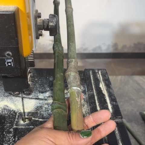 竹用****9实心竹竹竹竹竹竹竹竹