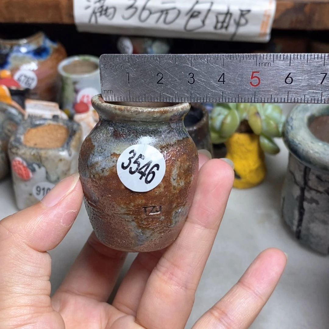 拍5送一个小礼物