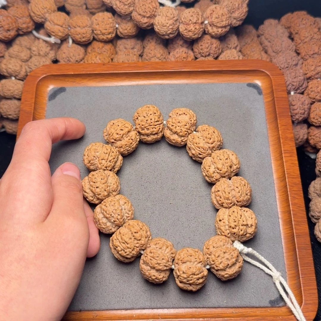 3号尼泊尔大金刚25粗筋梅花五龙梁