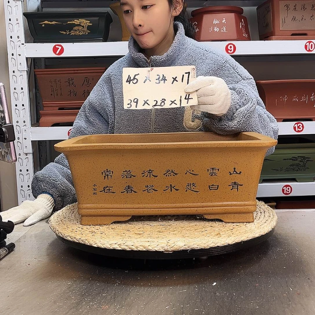 紫砂花盆紫砂花盆