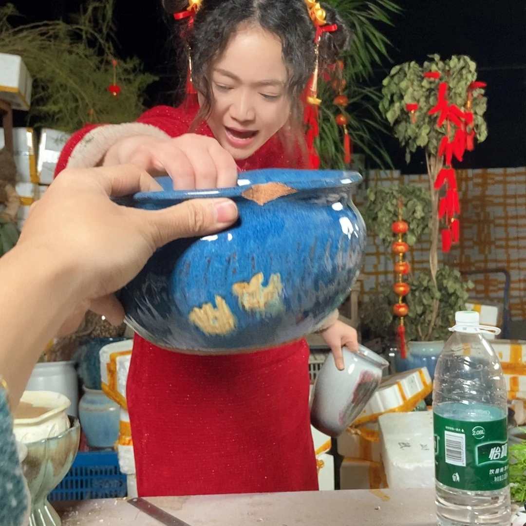 红陶梅***舞花盆里的小猫咪