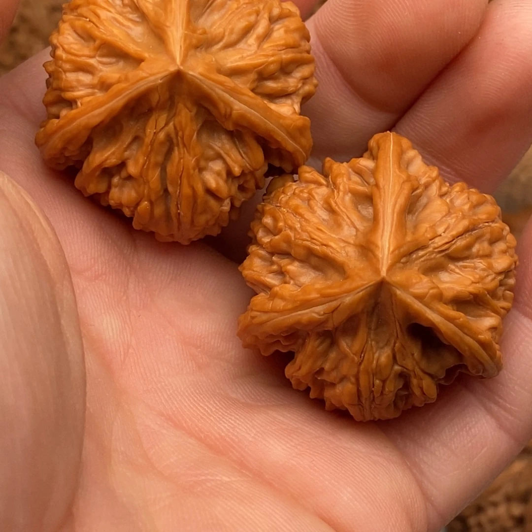 把件文玩核桃37文山三棱