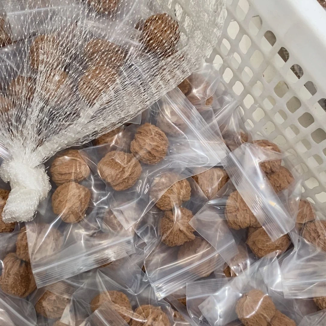 文玩核桃吊坠葫芦破烂137有瑕疵