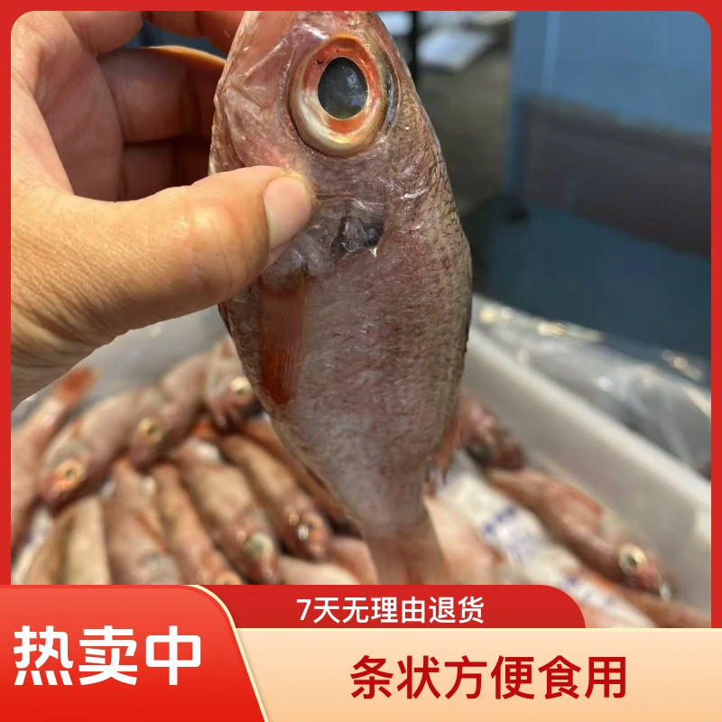 野生红果鲤鱼条型(一斤7至8条)到手三斤