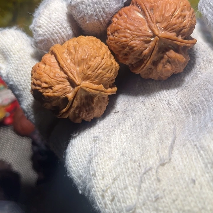 吊坠文玩核桃滇西25