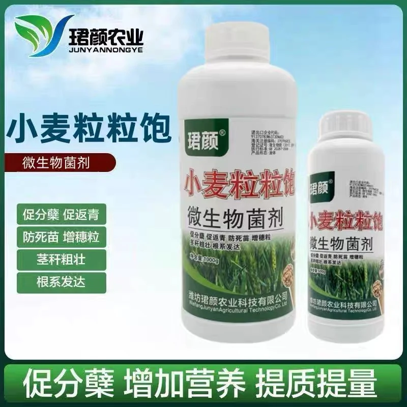 珺颜小麦粒粒饱促分蘖增加营养穗大粒饱提质提量小麦专用水溶肥