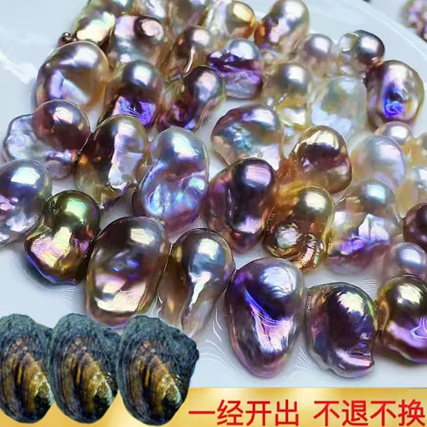 【大帅】金属炫巴蚌3个蚌（每蚌保1颗大巴）可定制打孔