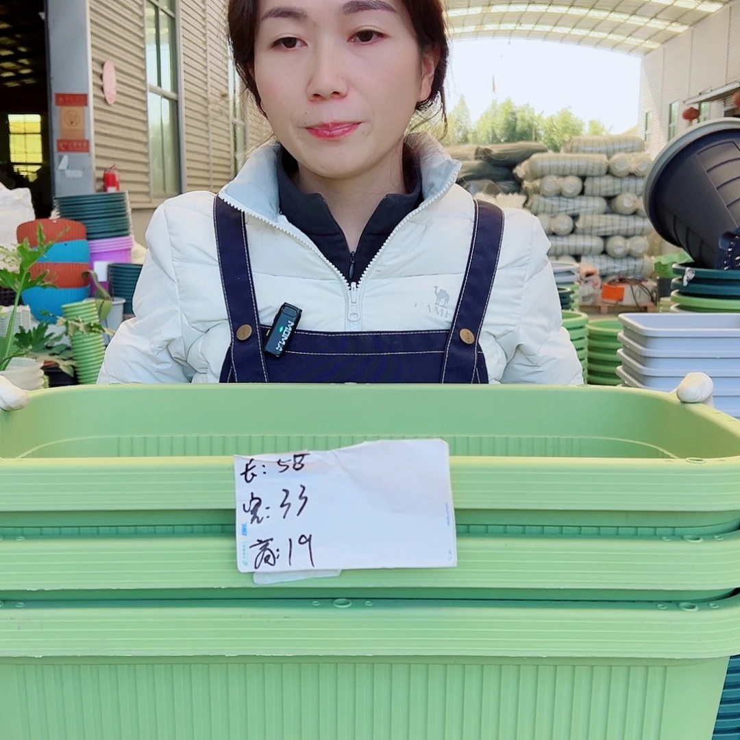 菜盆600#果绿3个（含托）