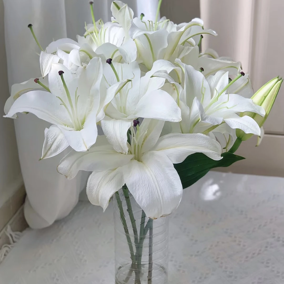 【桑坦德百合】云南基地直发鲜花白色单瓣香水百合鲜切花