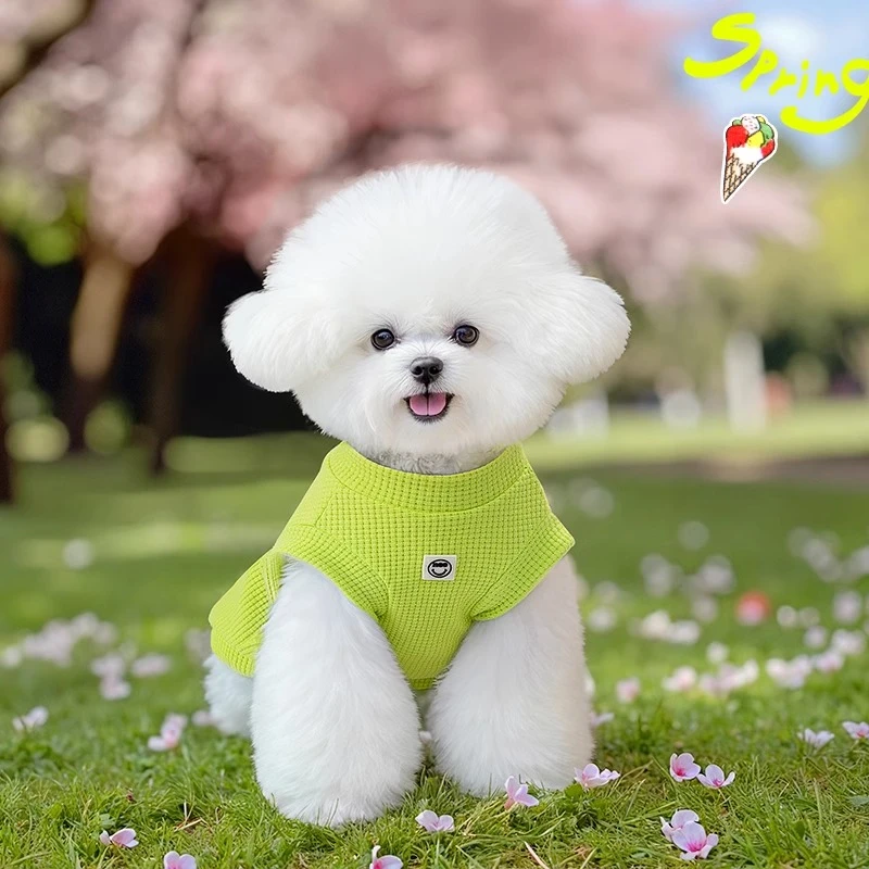 狗狗衣服春夏款华夫格可牵引背心宠物比熊泰迪雪纳瑞马尔济斯短袖