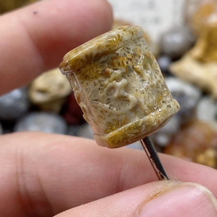 颈饰未镶嵌硅化珊瑚（珊瑚玉）