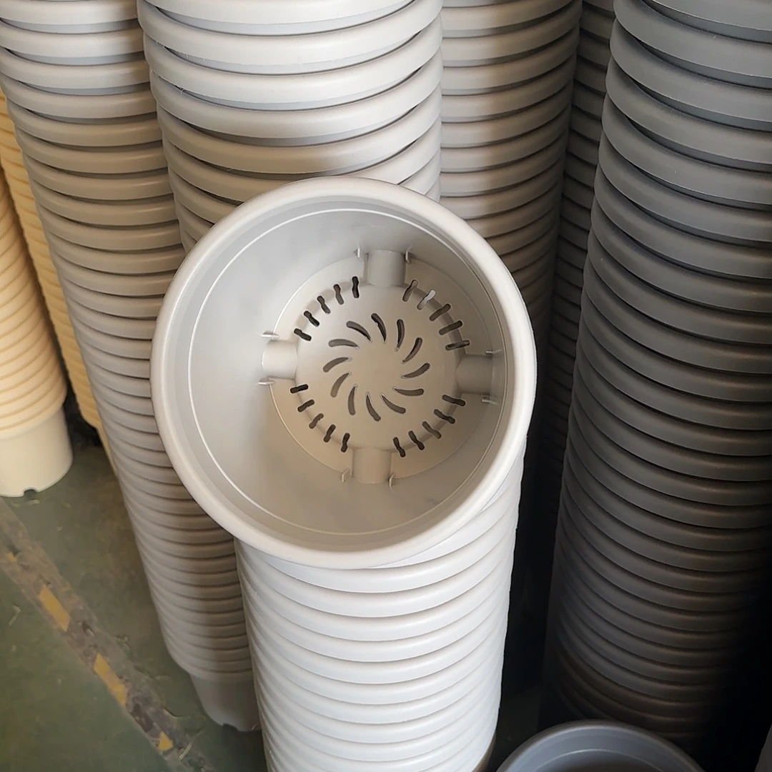 树脂四季3号无托10个灰白