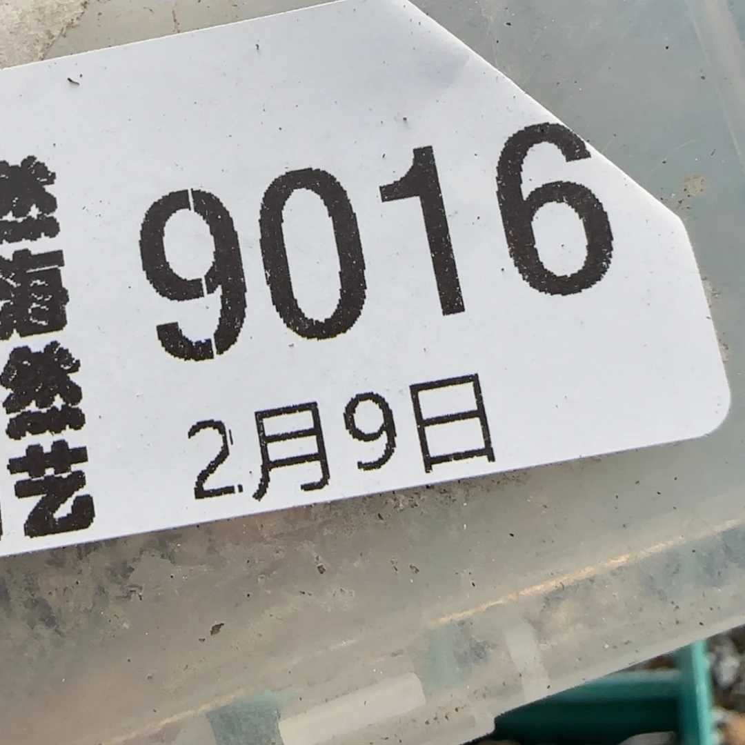 大****?2.9，饼干、，9016