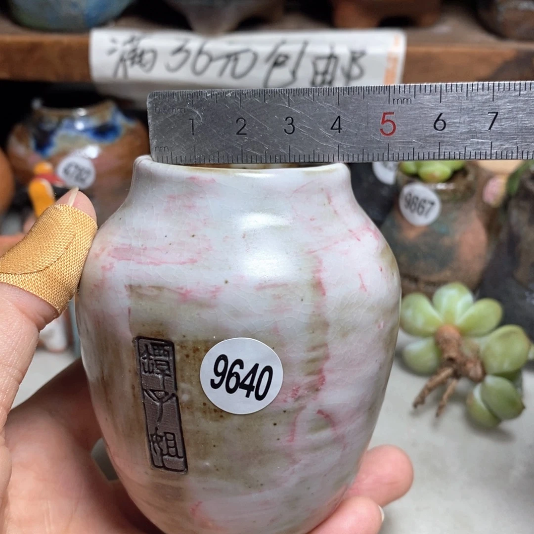 拍3送一个小礼物