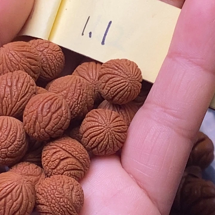 秦岭龙纹桃核21颗