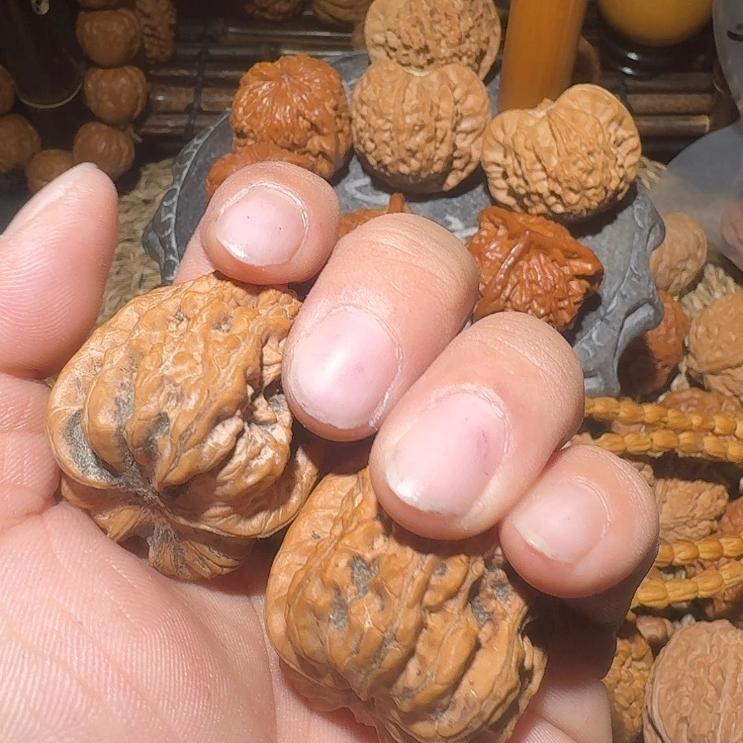 老***王核桃野生原树赤龙鸡心
