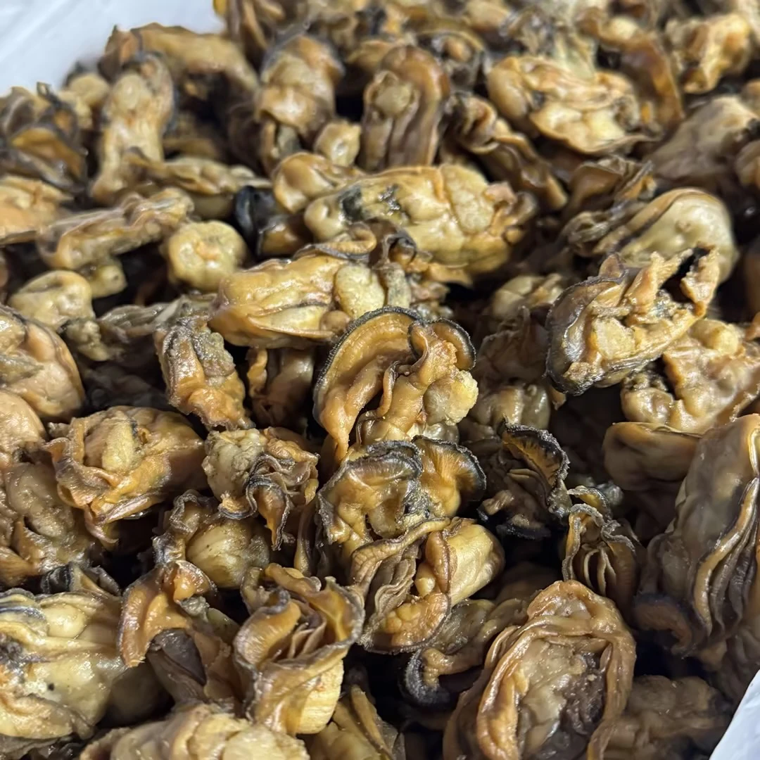 生晒蚝豉 生蚝干无抽油