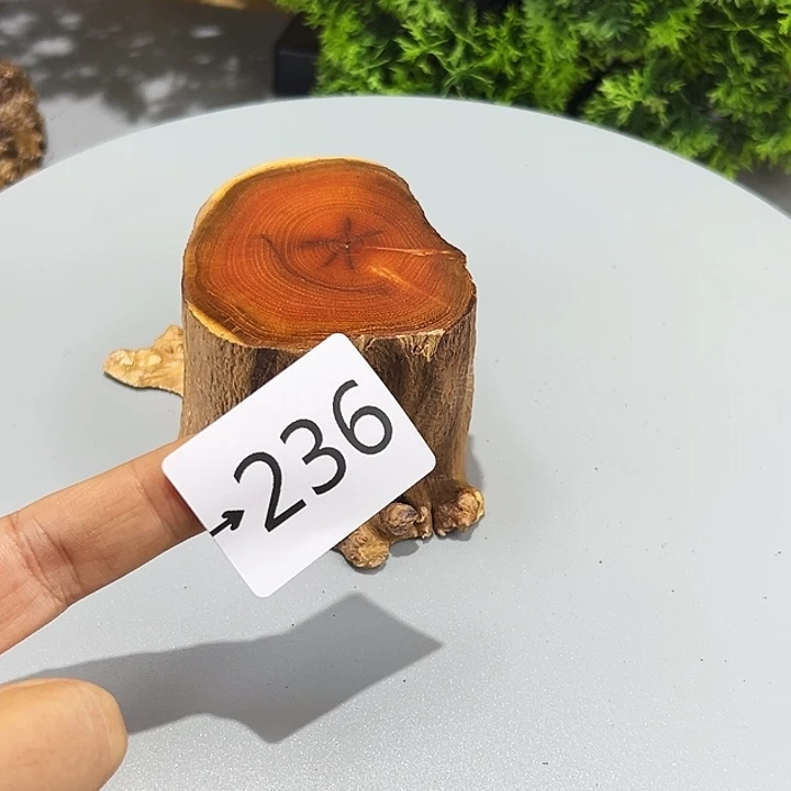 香榧木大*火琉璃……