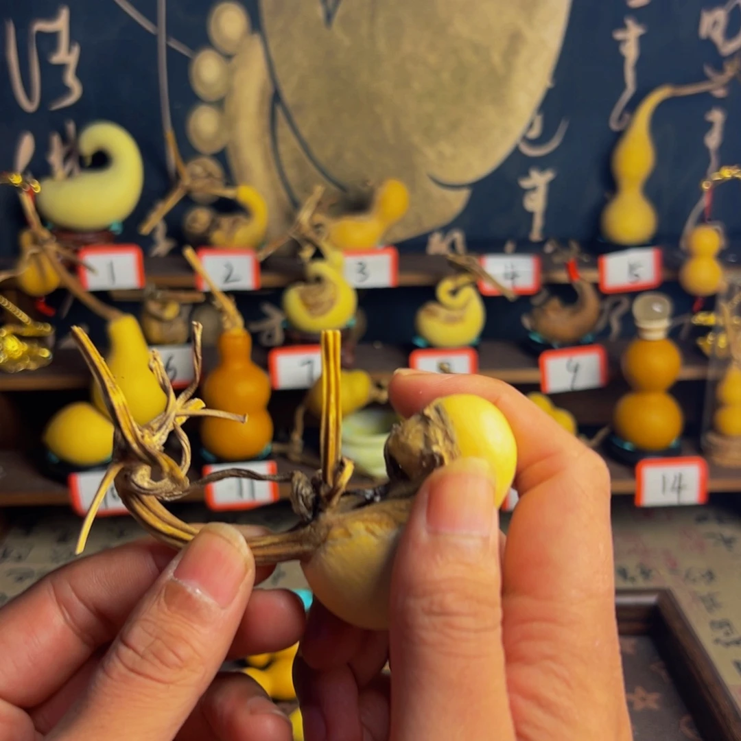 @****噜噜噜噜啦啦啦德玛西亚