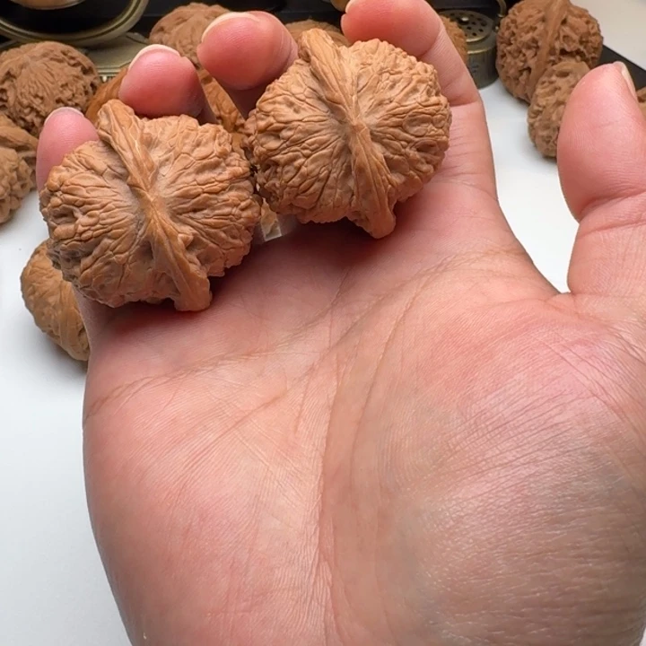 木质类血麒麟 红皮