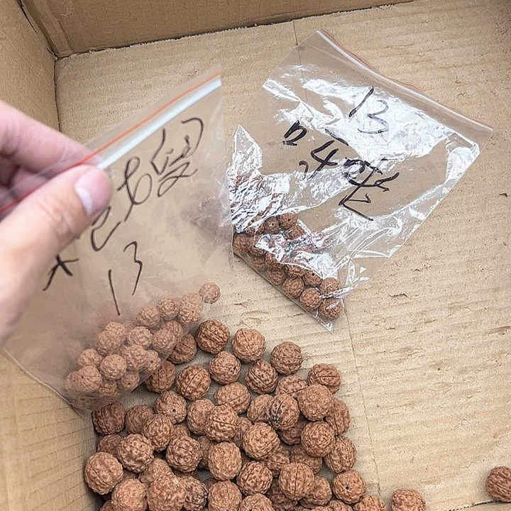 金刚菩提手串枪*好评