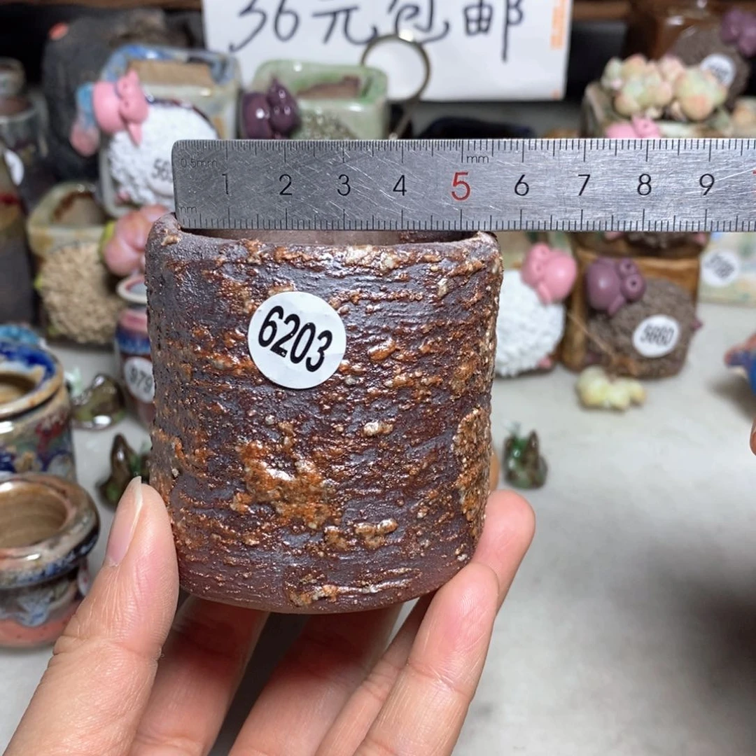 拍3送一个小礼物
