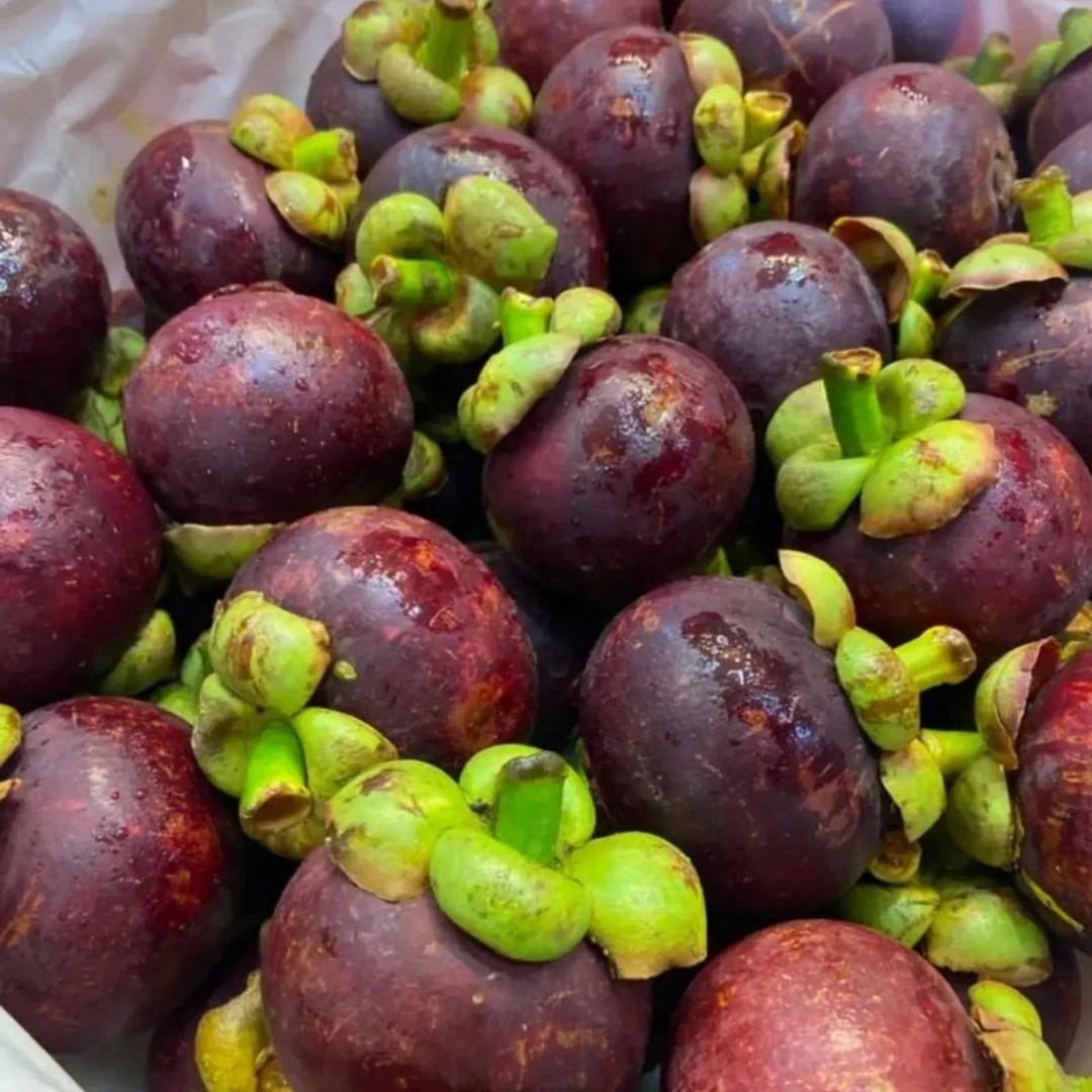 香甜可口山竹1公斤