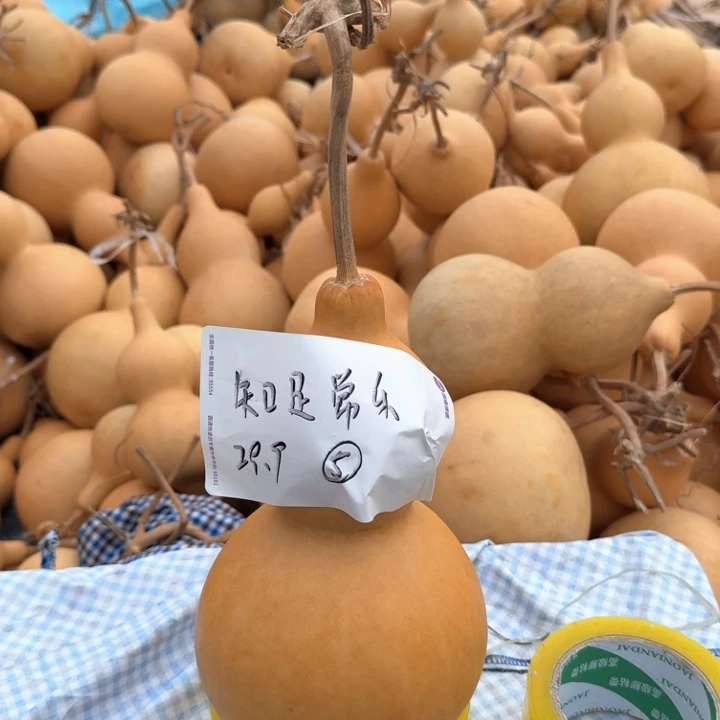 知***乐木质类中号不退不换6