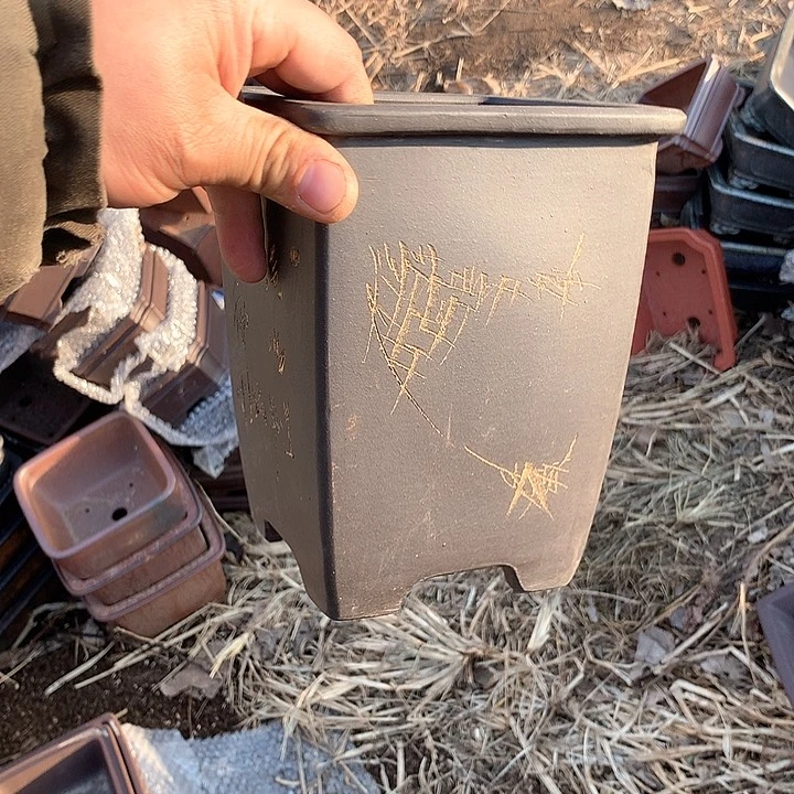 紫砂哈哈真的是太给力太