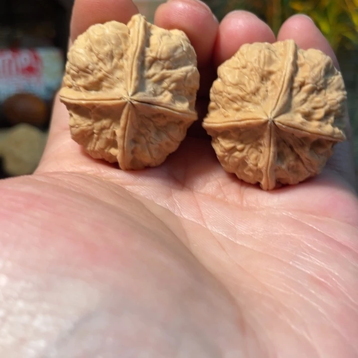 文玩核桃把件编号44