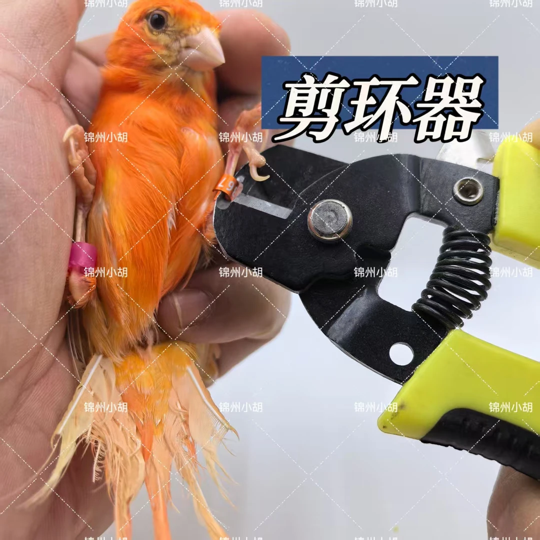 剪环器 铝合金鸟环专用剪环钳子 鸟脚环拆卸钳子