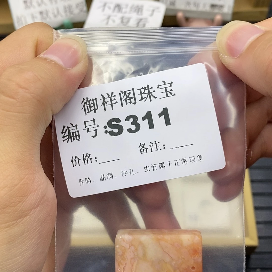 硅化珊瑚（珊瑚玉）未镶嵌颈饰倩