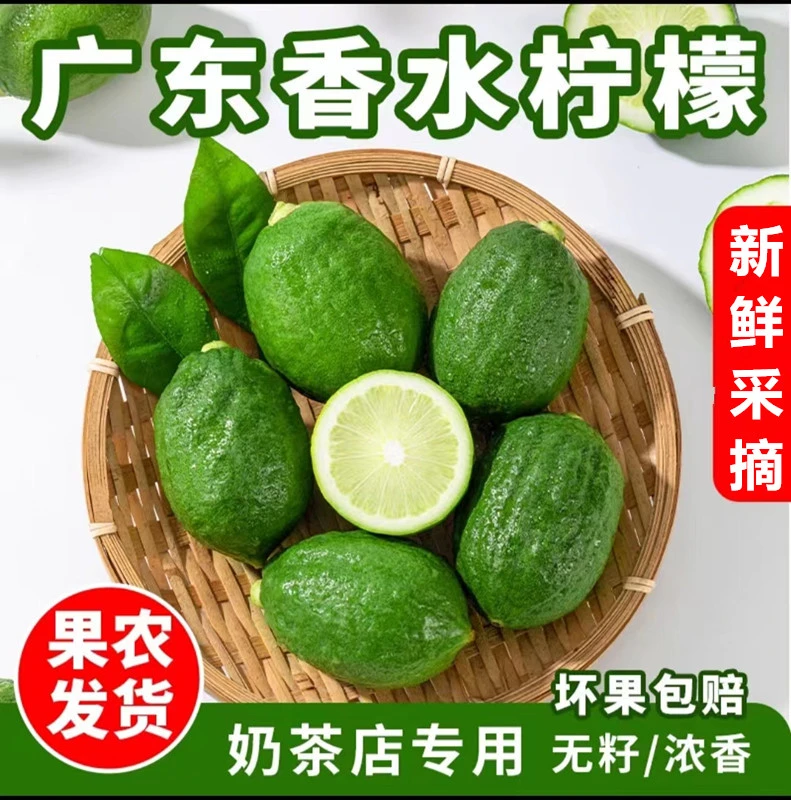 正宗广东鲜果香水柠檬一级果果园新鲜无籽爆香奶茶店专用1-5斤