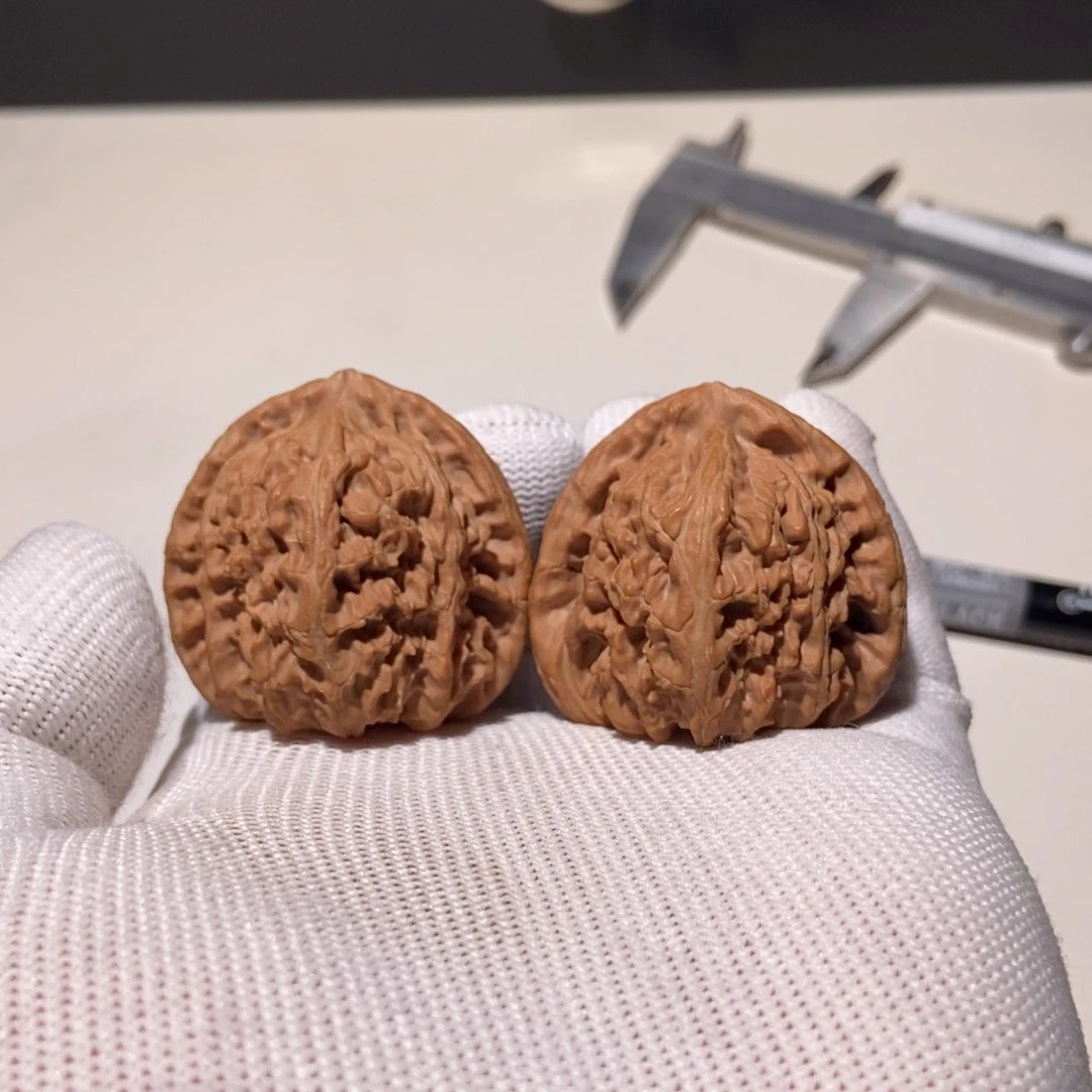 核桃文玩核桃白狮子40尺寸