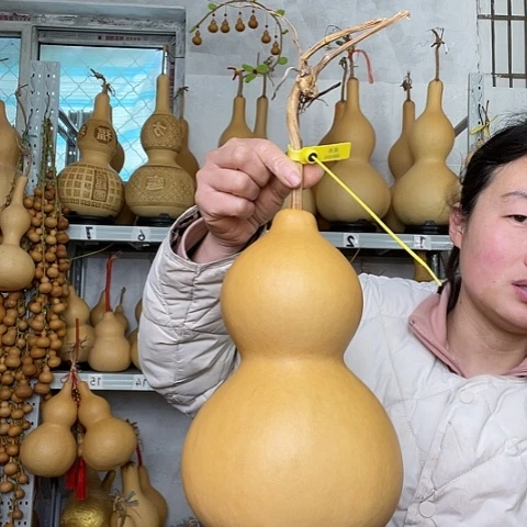 潘*生天然植物葫芦文玩