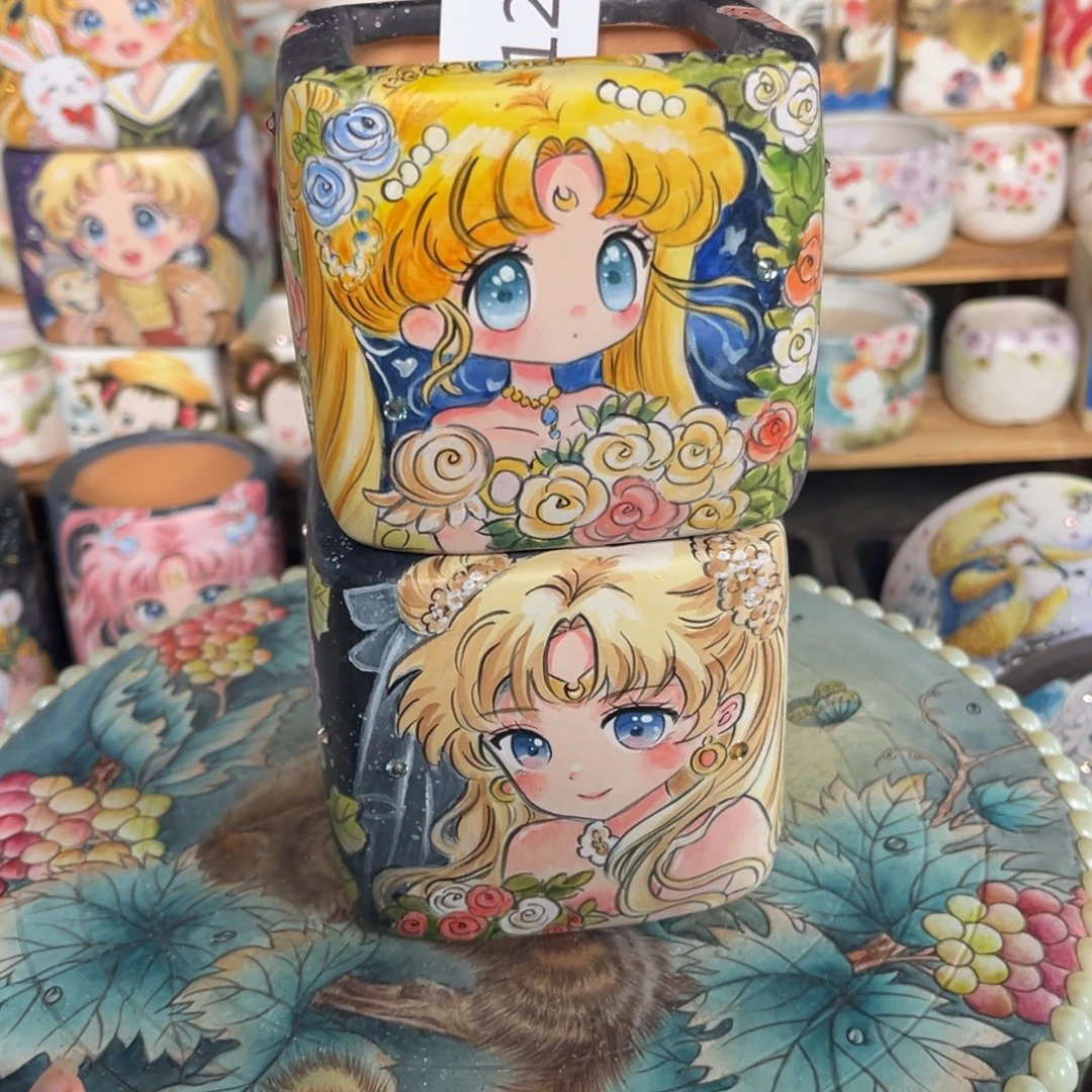 控***。12多肉花盆   2个