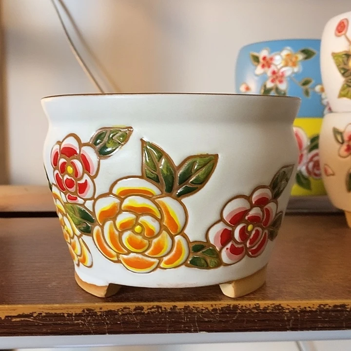 韩式多肉植物花盆