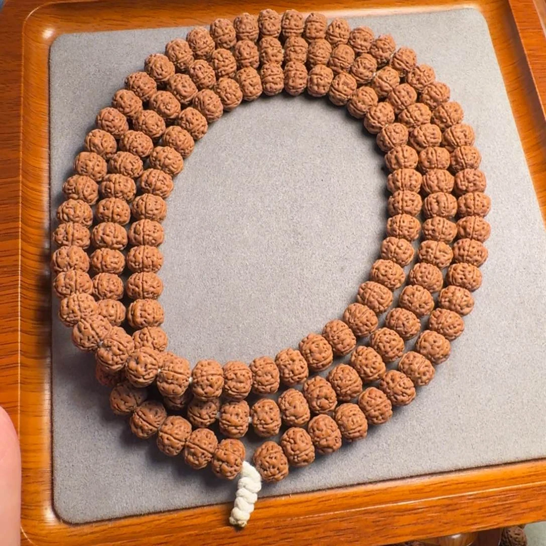 吊坠金刚菩提玄****）老树王10