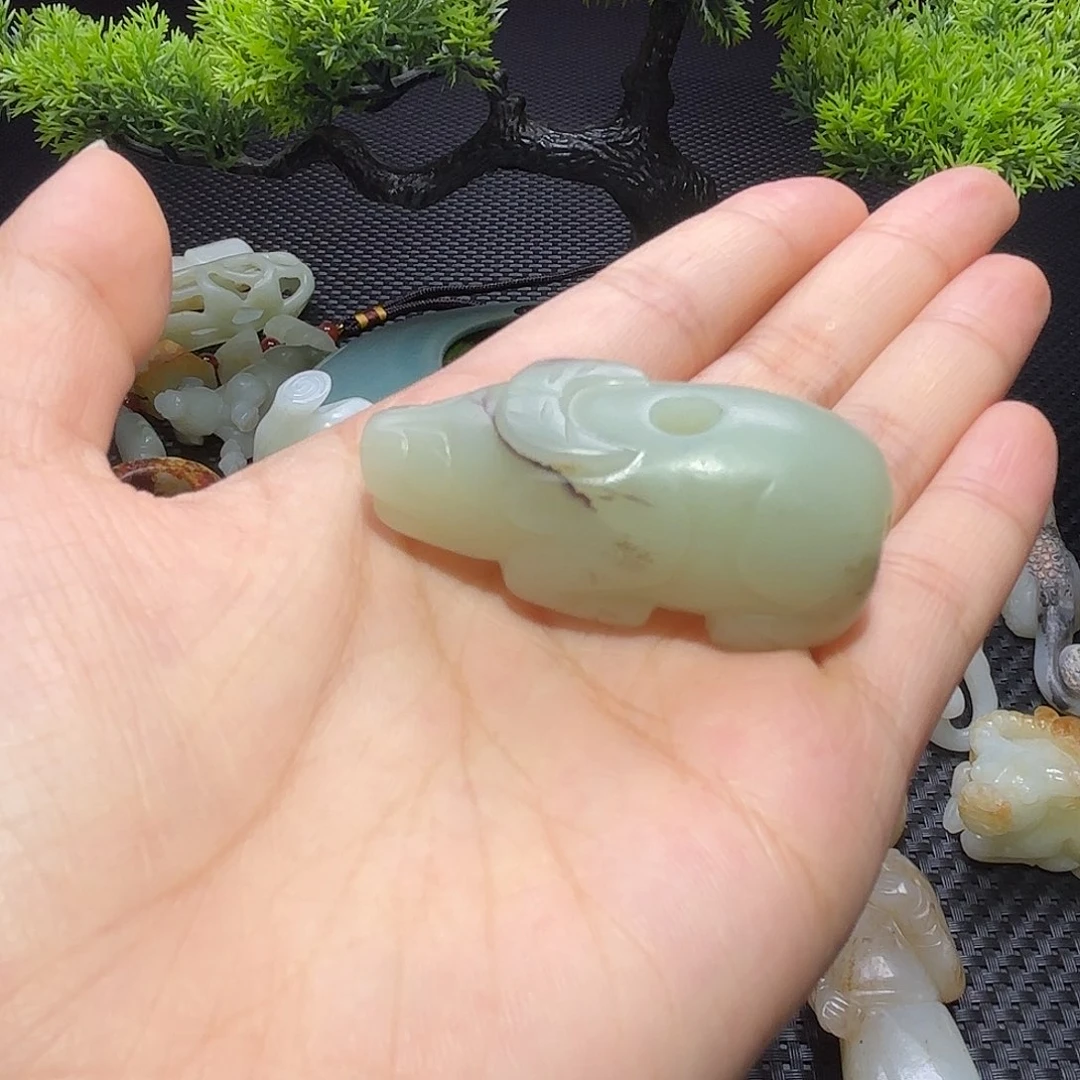 缸一物一图 所见所得