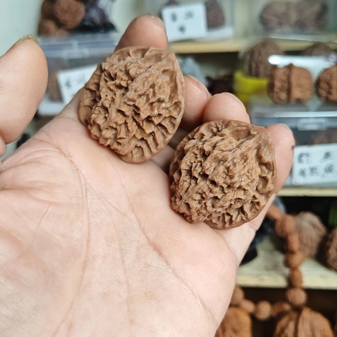 38尺寸陕西野生薄棱官帽，一只尖有磕