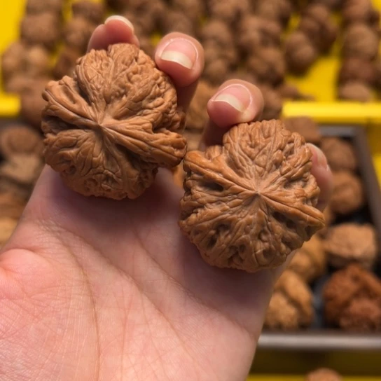吊坠文玩核桃粗筋41